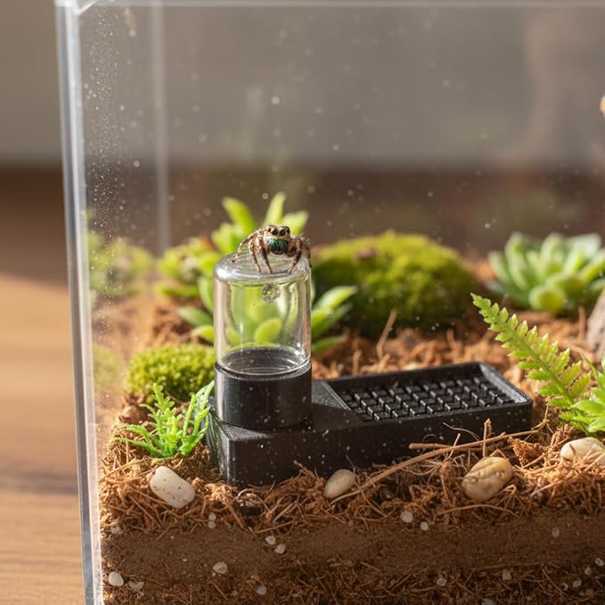 Jumping Spider Water Dispenser Jumping Spider Enclosure Accessories Suitable for Tarantulas, Praying Mantises,and Other Small Animal Enclosure Accessories (Black)