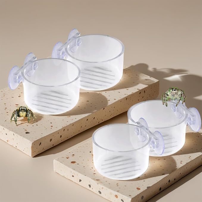 4 Pcs Jumping Spider Feeding Dish Water Bowl with Suction Cup for Jumping Spider Tarantula Millipede Small Reptiles