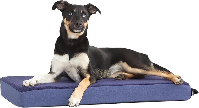 BarkBox Orthopedic Dog Bed - Medium | with Memory Foam - Comfortable, Durable & Machine Washable Pet Bed - Navy