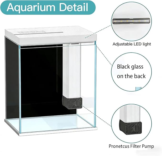 Pronetcus 2 Gallon Glass Betta Fish Tank with Heater Filter and Light, Self-Cleaning Small Aquarium Starter Kits