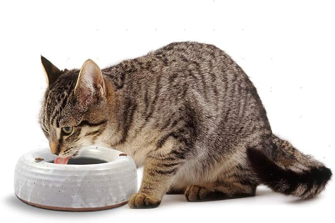 American Made Splash-Reducing Stoneware Pottery Water Bowl (Small 24-oz) | For Cats, Small Pets, and Small Dogs