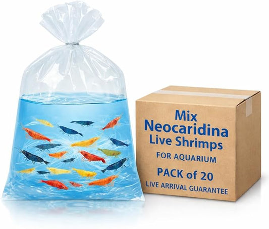 20+ Holding Mixed Color Neocaridina Shrimp - Live Freshwater Aquarium Shrimp for Breeding, 1/2-1 Inch (Young Adults) - Fire Red, Blue Dream, Yellow & More - Live Arrival Guarantee! (Mix)