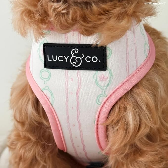 Lucy & Co. Reversible Dog Harness - Water-Repellent Neoprene, Dual-Print Design, Easy Swap Style, Adjustable Comfort Fit - Sipping Slowly Reversible Harness - Medium