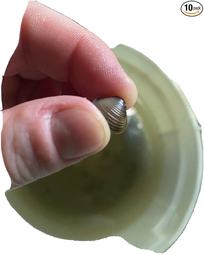 10 Baby Live Freshwater Clams: Perfect for Aquariums and Ponds Brown, Gold, Tan, Silver 1 Count (Pack of 10)