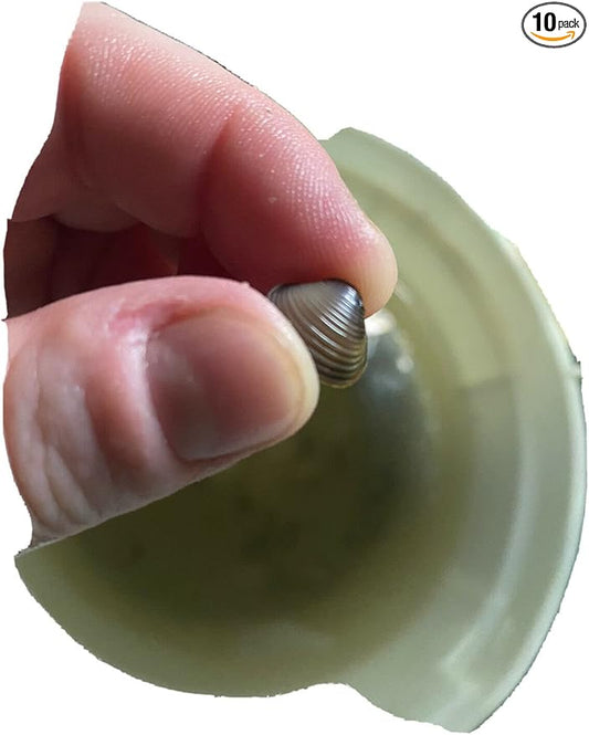 10 Baby Live Freshwater Clams: Perfect for Aquariums and Ponds Brown, Gold, Tan, Silver 1 Count (Pack of 10)