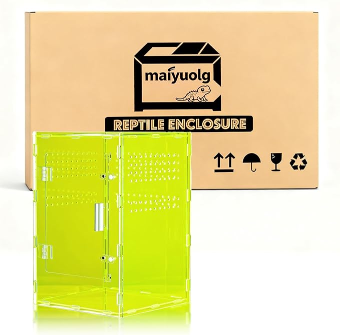 8x8x12 Reptile Enclosure Acrylic Terrarium – Cyberpunk Light Green Reptile Tank Featuring New Caledonia Rainforest Style for Geckos & Invertebrates
