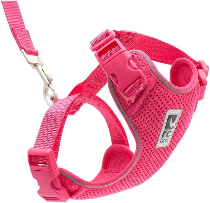 RC Pets Adventure Kitty Cat Harness | Adjustable Airmesh Vest with D-Ring and 6ft Leash for Walking and Travel | Azalea, Small