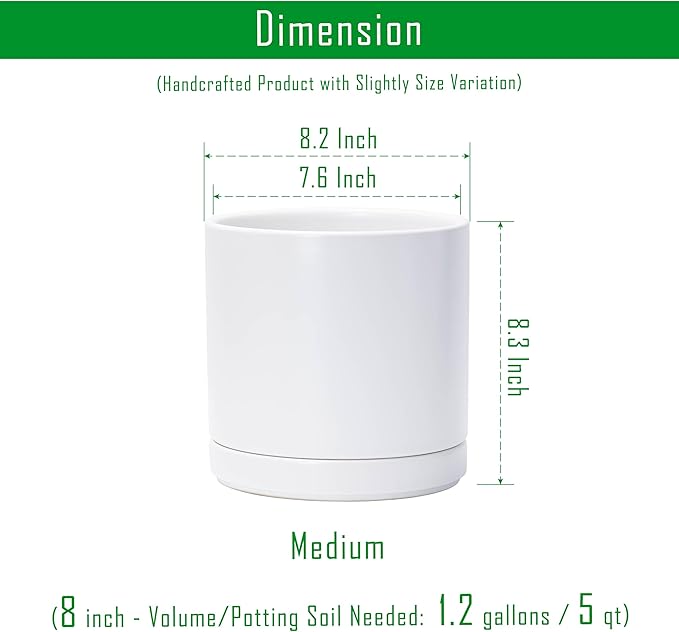 D'vine Dev 8.2 Inch Ceramic Planter Pot, White, 94-O-D-1 | Modern Cylinder Design, Drainage Hole & Saucer Included, Stable Structure, Elegant Home Accent