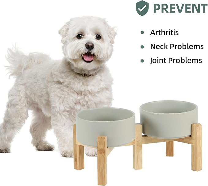 Havniva Dog Bowls Elevated, Ceramic Dog Food and Water Bowl Set | 6.1” Raised Dog Food Bowl, Elevated Dog Bowls with Bamboo Stand, Non-Slip Dog Water Bowl for Small Dog, Large Capacity