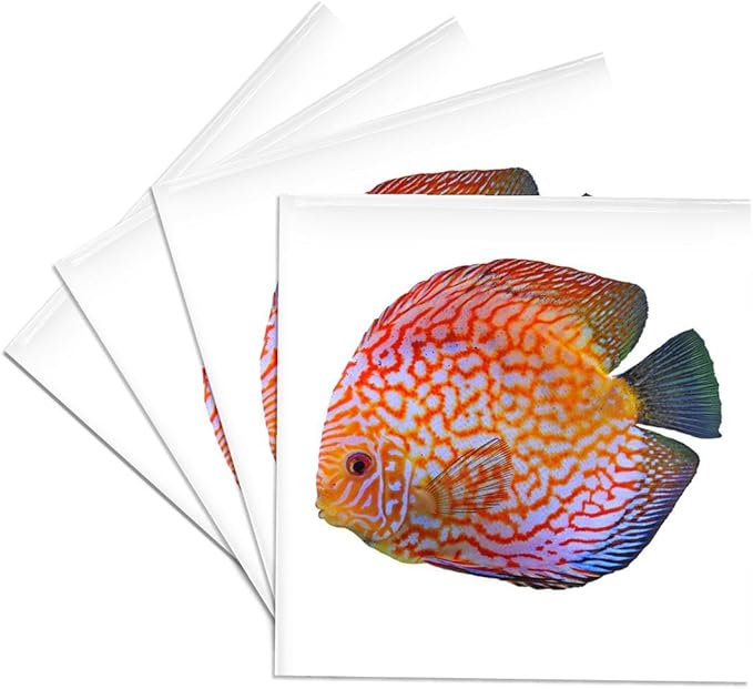 3dRose King of The Aquarium Discus Fish Image Wildlife Set of 4 Ceramic Tile Coasters