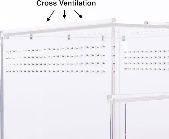 EctoTherm Jumping Spider Enclosure - Complete Acrylic Terrarium Habitat for Spiders, Tarantulas, Praying Mantis - Small Spider House with Front Opening Door - Bug Enclosure for Arboreal Species