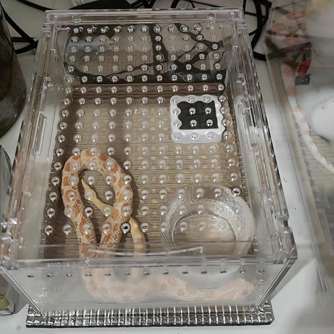 Small Acrylic Reptile Enclosure, No Assembly Small Reptile Breeding Box for Insect Tarantula Hermit Crab Jumping Spider (8x6X4 in)