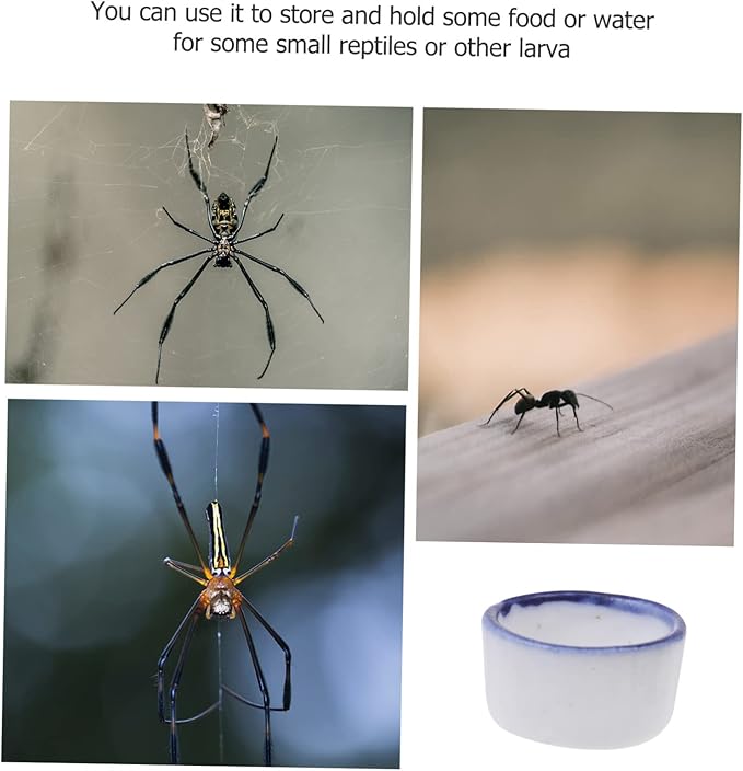 UKCOCO 36 Pcs Basin Mini Resin Animals Tarantula Enclosure Drink Containers Reptile Water Bowl Ceramic Pet Bowls Hamster Food and Water Bowl Mini Ceramic Bowl for Pet Water Feeder Sink