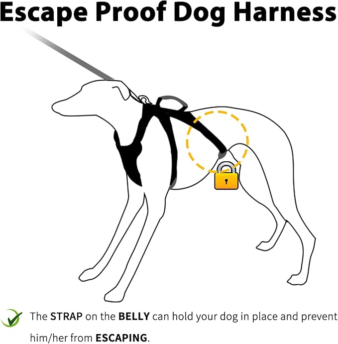 Escape Proof Harness,No Slip Dog Harness Escape Proof,Fully Reflective Harness with Handle,Breathable,Durable,Adjustable Vest for Medium Dogs Walking,Training & Running Gear(Lavender Purple,M)