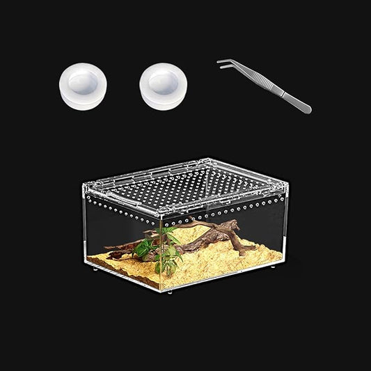 Reptile PC Terrarium 8" x 6" x 4", Tarantula Enclosure,Spider Tank Starter Kit, Hermit Crab Habitat,Lizard Enclosure,Insect Housing,Jumping Spider Cage (Small)