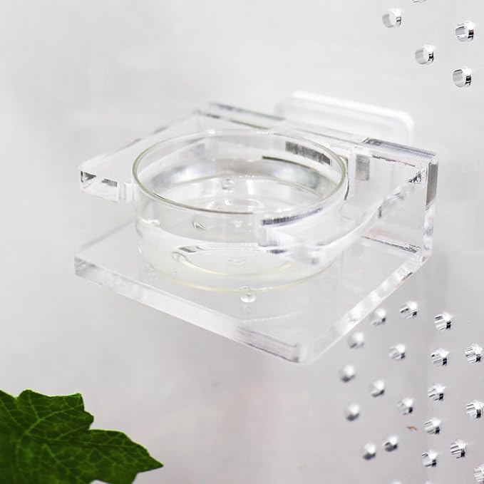 2 Pack Jumping Spider Feeding Dish - Transparent Acrylic Magnetic Tarantula Food Bowl and Water Dish - Enclosure Accessories for Small Spiders