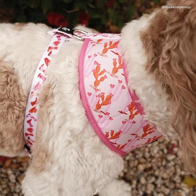 Lucy & Co. Reversible Dog Harness - Water-Repellent Neoprene, Dual-Print Design, Easy Swap Style, Adjustable Comfort Fit - Howdy Honey Reversible Harness - Large
