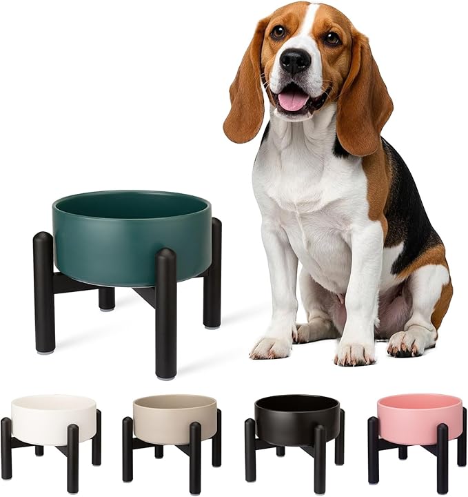 Raised Ceramic Dog Bowl Set with Stand, 2 Cups Elevated Dog Food Stand | 6.1'' Single Dog Food or Water Bowl Set, Non-Slip Dog Feeding Dishes for Small to Medium Breeds, 28.75 OZ, Green