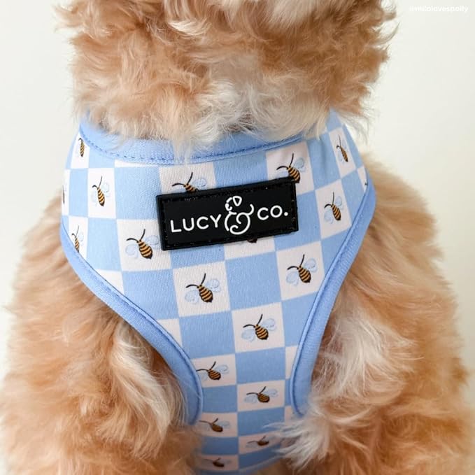 Lucy & Co. Reversible Dog Harness - Water-Repellent Neoprene, Dual-Print Design, Easy Swap Style, Adjustable Comfort Fit - Bumbling Around Reversible Harness - X-Large