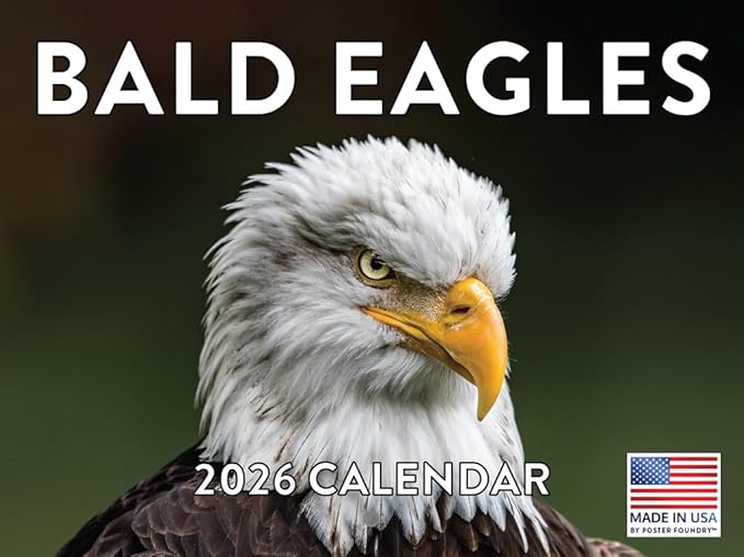 Bald Eagle Calendar 2026 Wall Monthly Bald Eagles Gifts For Bald Eagle Lovers Women Men | American Made In The USA
