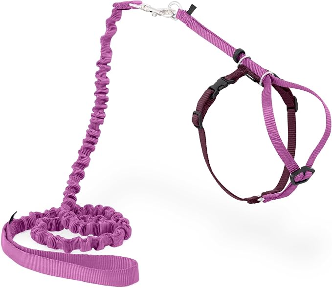 PetSafe Come with Me Kitty Harness and Bungee Cat Leash, Dusty Rose, Small | Adjustable 2-Point Fit Applies Gentle Pressure to Shoulders, Not Neck, for Kittens and Small Cats with 9 in - 11 in Girth