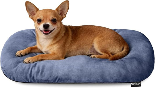 Washable Oval Small Dog Bed, Silver-Tipped High-Resilience, Dusty Blue | Non-Slip Bottom Prevents Sliding,Soft Plush Short Fur,Machine Washable Cushion,Ideal for Crates & Small Spaces,23"x17"x2.8"