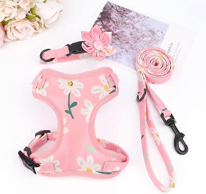 Beirui Cute Dog Collars,Harnesses,Leashes Set, Floral Pattern, Pink-1,XXS | Girl Dog Harness Set with Flower, Adjustable and Soft Mesh Lining, For Puppies Small & Extra Small Dogs Daily Walks