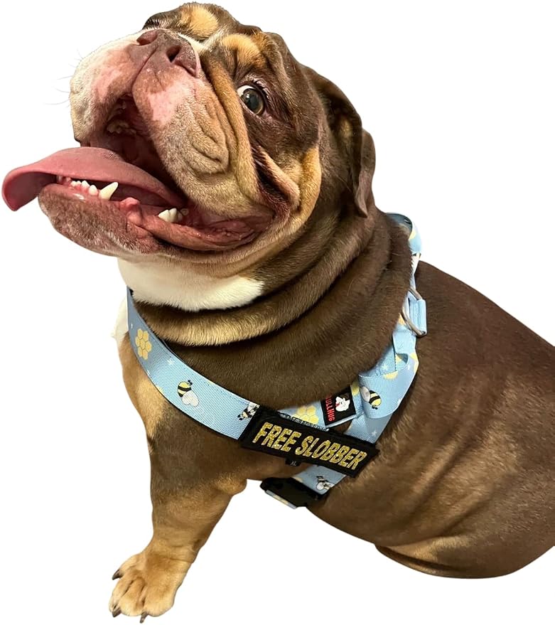 Adjustable Dog Harness– No Pull, No Choke – for English Bulldogs, French Bulldogs, Pugs & Broad-Chested Breeds – Easy, Safe Walks (Bumble BEE, XL)
