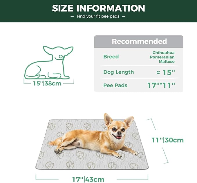 FXW Washable Pee Pads for Dogs, Super Absorbent, 11" x 17", 4 Packs | Machine washable, Non-slip backing