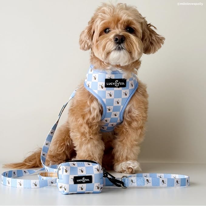Lucy & Co. Reversible Dog Harness - Water-Repellent Neoprene, Dual-Print Design, Easy Swap Style, Adjustable Comfort Fit - Bumbling Around Reversible Harness - X-Large