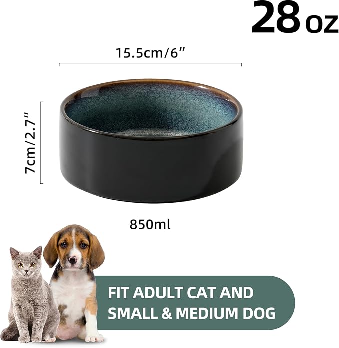 Havniva Cat Bowls Set of Two, 6.1” Ceramic Cat Food and Water Bowls | Cat Food Bowls Whisker Friendly, Non-Slip Base, Food-Grade Ceramic, Wide Opening, Dishwasher Safe, Cat Bowls for Indoor Cats