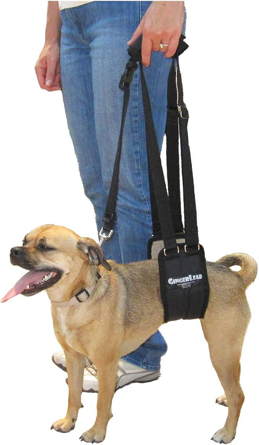 Dog Rear Sling Support Harness, SM Female, Machine Wash & Dry | Fits Small to Medium Size Dogs or Larger Barrel-Chested Breeds like Boxers, Bullies. Padded, Integrated Leash. Made in U.S.A.