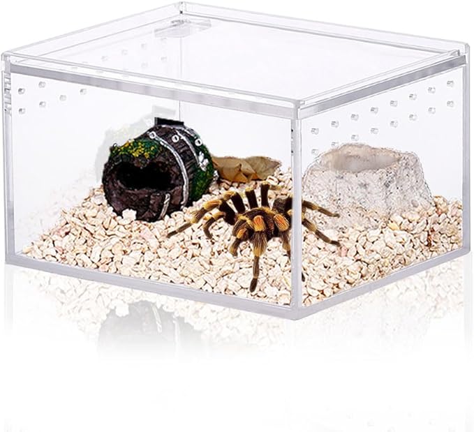 Small Acrylic Reptile Enclosure, No Assembly Small Reptile Breeding Box for Insect Tarantula Hermit Crab Jumping Spider (4x3.3X2.5 in)
