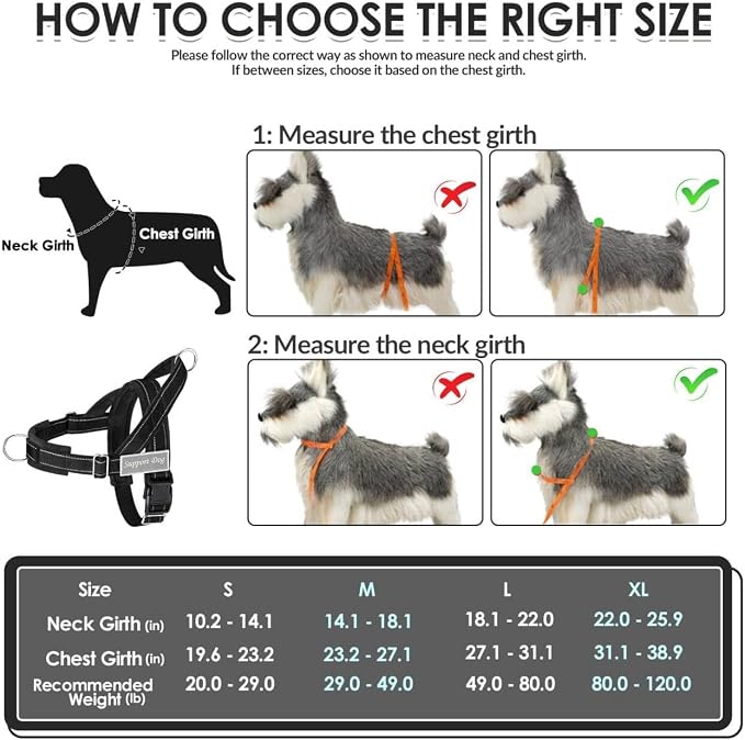 SlowTon No Pull Dog Harness with Front Clip - Heavy Duty, Soft Padded | Neck & Chest Adjustable, Tactical Pet Vest and Leash Set for Large Medium Sized Dogs, for Easy Walk & Training, Black M