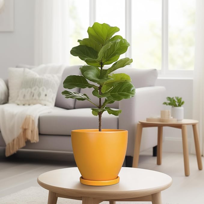 Ceramic Plant Pot - 8 Inch Planter for Indoor Outdoor Plants, Round Flower Pots with Drainage and Tray, Home Office Decor, Orange
