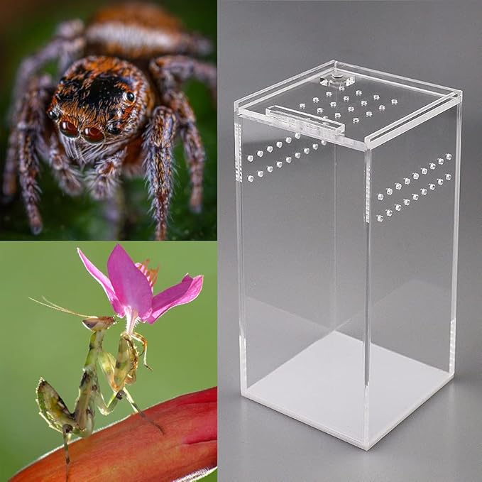 NANEEZOO Magnetic Acrylic Case, 2.9x2.9x6 Inch Nano Arboreal Tarantula Enclosure Reptile Habitat Terrarium Breeding Box for Spider Scorpion Sling Isopods Lizards Invertebrates Insect Mantis