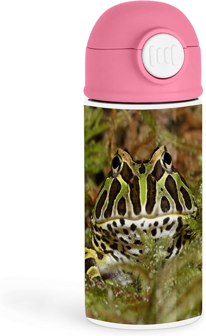 Funny Nature Enthusiast 12oz Kids Pink Bottle – Close-up of a Pacman frog with green and black patterns – School Lunch, Outdoor Adventures