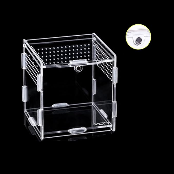 AWXZOM Magnetic Acrylic Case, micro habitat small Tarantula Enclosure enclosure for arboreal Tarantula Scorpion Sling Lizards Mantis Snake Gecko jumping spider snail Insect Isopods (3.5*3.5*3.7inch)
