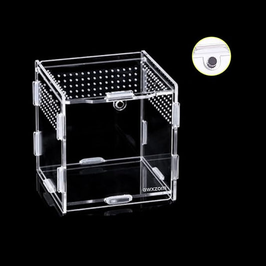 AWXZOM Magnetic Acrylic Case, micro habitat small Tarantula Enclosure enclosure for arboreal Tarantula Scorpion Sling Lizards Mantis Snake Gecko jumping spider snail Insect Isopods (3.5*3.5*3.7inch)