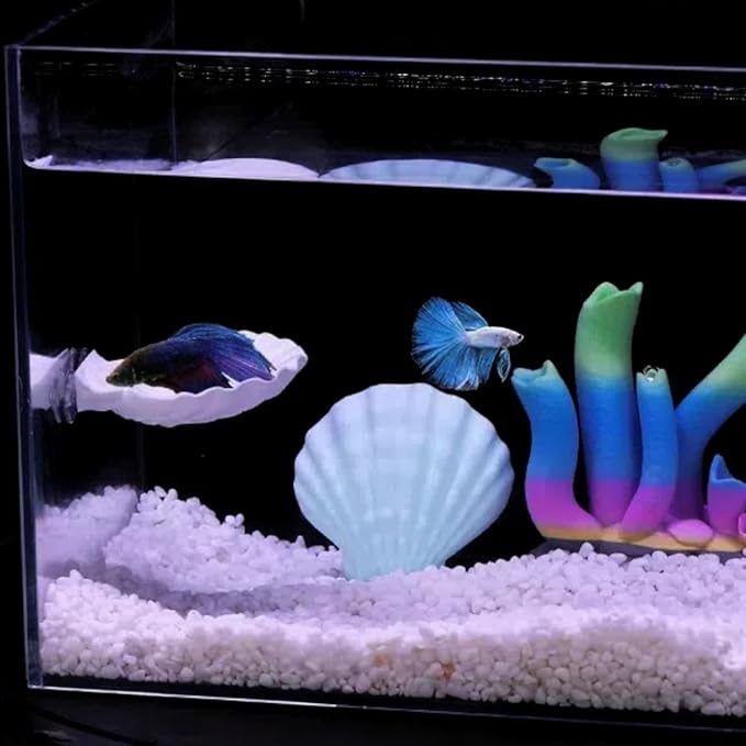 Betta Fish Hammock, Shell Pad with Strong Suction Cup Natural Resting Bed for Bettas Soft Fin-Safe Betta Fish Tank Decor and Accessories (Orange Medium)
