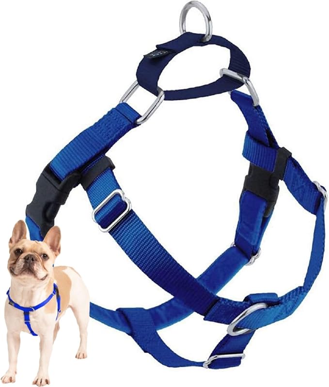 2 Hounds Design Freedom No Pull Dog Harness, Adjustable Harness, Easy Walking & Comfortable Control, Fits Small, Medium & Large Dogs, Solid Colors, Made in USA, 1" XXL, Royal Blue