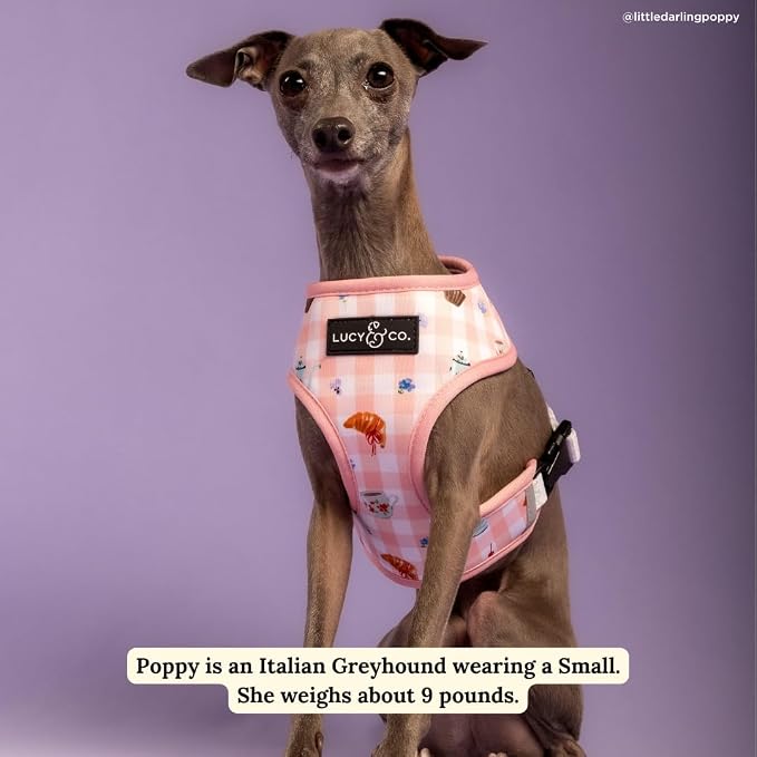Lucy & Co. Reversible Dog Harness - Water-Repellent Neoprene, Dual-Print Design, Easy Swap Style, Adjustable Comfort Fit - Sipping Slowly Reversible Harness - Small
