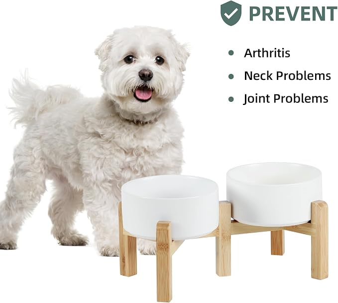 Havniva Dog Bowls Elevated, Ceramic Dog Food and Water Bowl Set | 6.1” Raised Dog Food Bowl, Elevated Dog Bowls with Bamboo Stand, Non-Slip Dog Water Bowl for Small Dog, Large Capacity