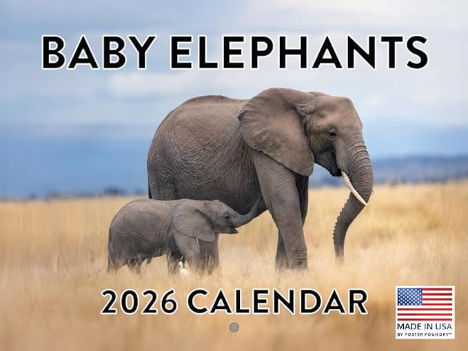 Baby Elephant Calendar 2026 Monthly Wall Calender 12 Month Elephants For Elephant Lovers For Women Men| American Made In The USA