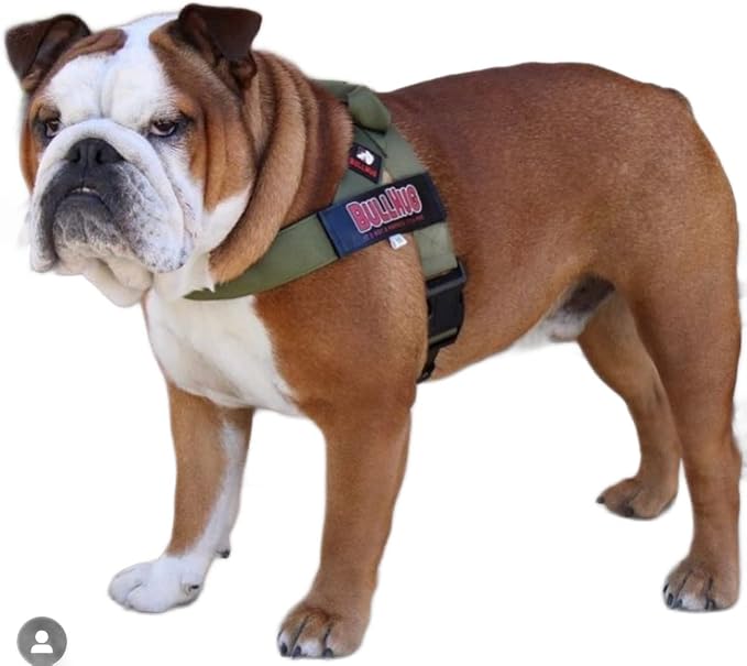 Adjustable Dog Harness– No Pull, No Choke – for English Bulldogs, French Bulldogs, Pugs & Broad-Chested Breeds – Easy, Safe Walks (Olive Green, Small)