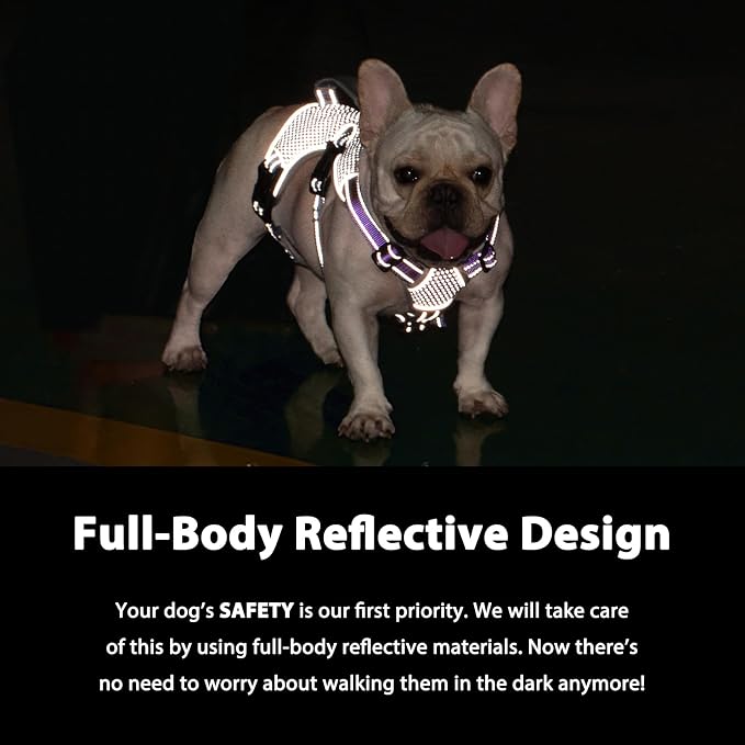 Escape Proof Dog Harness, Dachshund Harness, Reflective Dog Harness with Handle, Durable,Adjustable Vest for Small Medium Large Dogs Walking, Training, and Running Gear (Lavender Purple,M)