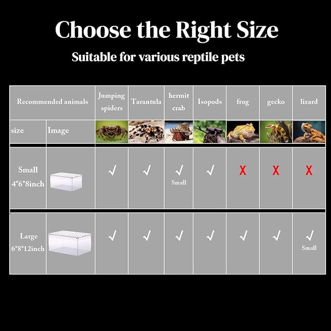 12x8x6 Inch Terrarium with Magnetic Top Sliding Lid, Clear View Critter Keeper & Spider Enclosure, Jumping Spider/Tarantula Habitat, Hermit Crab Tank, Tadpole to Frog Kit
