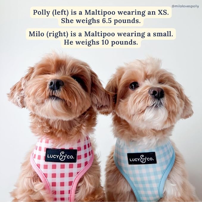 Lucy & Co. Reversible Dog Harness - Water-Repellent Neoprene, Dual-Print Design, Easy Swap Style, Adjustable Comfort Fit - Take a Bow Reversible Harness - Large