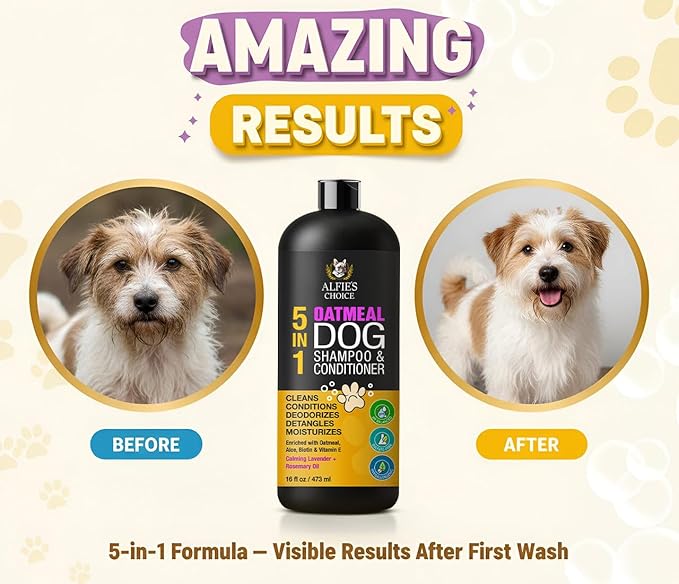 ALFIE'S CHOICE Oatmeal Dog Shampoo and Conditioner for Itchy Skin Relief | Puppy Shampoo for Sensitive Skin 5-in-1 | Cleans, Deodorizes & Detangles | Dog Wash for All Breeds | Made in USA | 16 fl oz