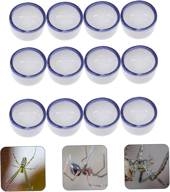 UKCOCO 36 Pcs Basin Mini Resin Animals Tarantula Enclosure Drink Containers Reptile Water Bowl Ceramic Pet Bowls Hamster Food and Water Bowl Mini Ceramic Bowl for Pet Water Feeder Sink